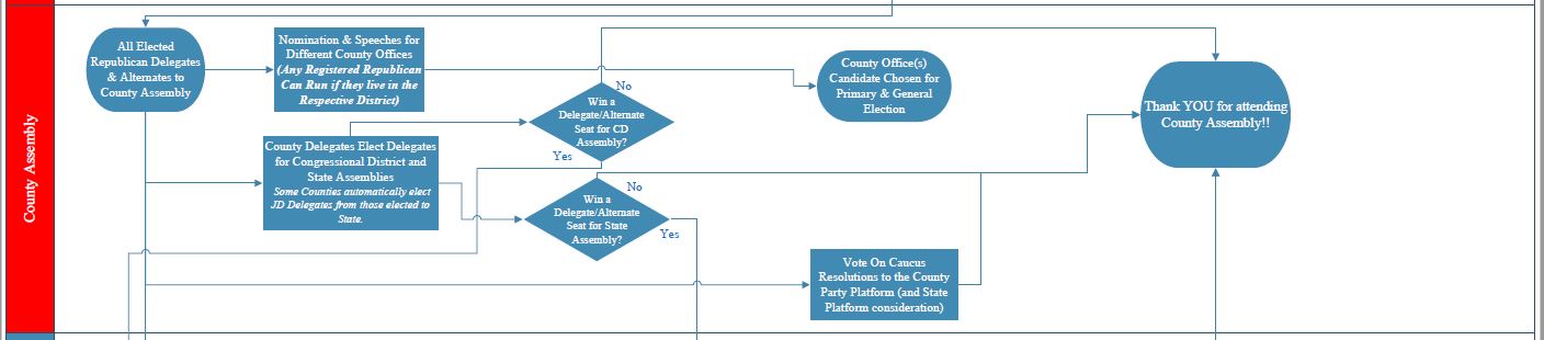 2022AnilsCaucusFlowChartCountyAssembly