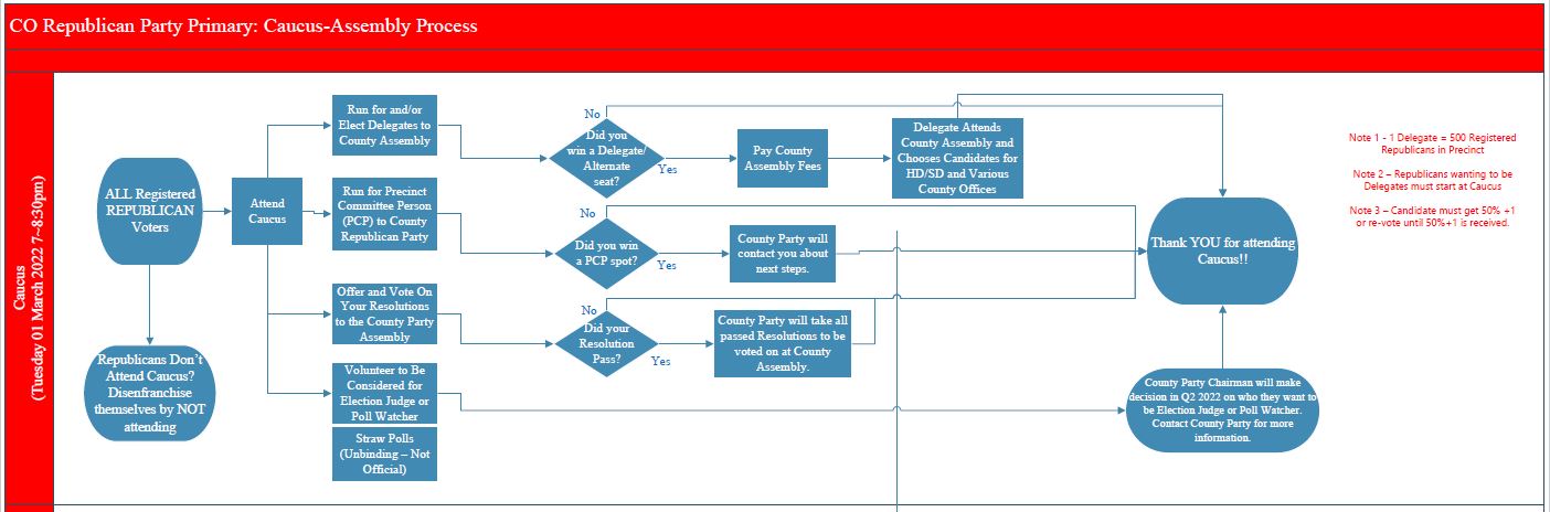 2022AnilsCaucusFlowChartPrecinct